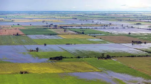 La mitad de los campos bonaerenses está inundado mientras Sarquís está de gira en Estocolmo