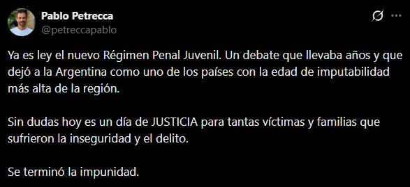 El senador del PRO Pablo Petrecca celebró la baja de la edad de imputabilidad