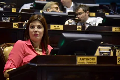 Antinori augura que el Senado apoyará la Ley de Manejo del fuego