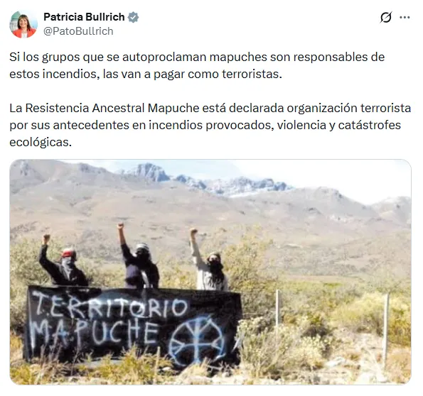 X Patricia Bullrich