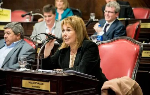 Cambiemos tendrá al "Pata" como carta de chicana en el Senado