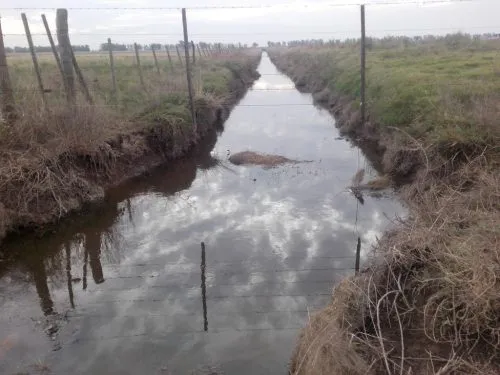 Ponen en vigencia la normativa contra los canales clandestinos