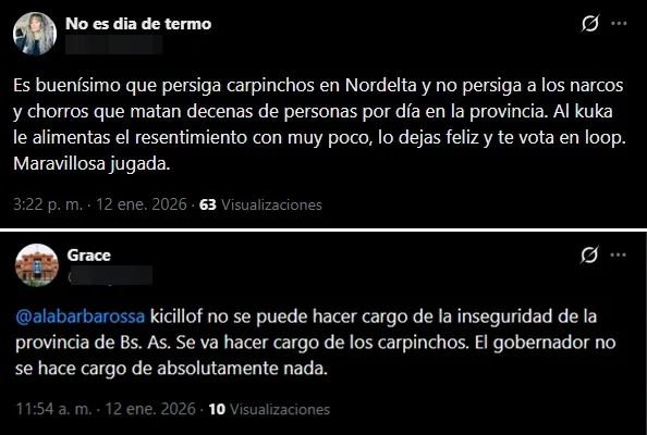 Rechazo ambientalista al traslado de carpinchos en Nordelta