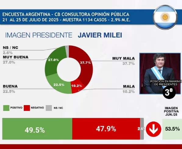Imagen Presidente Javier Milei