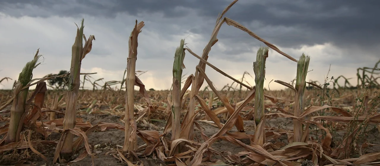 La Niña sequía