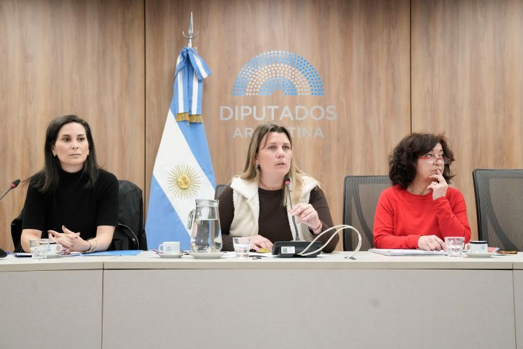Expositores advirtieron en Diputados sobre el grave desfinanciamiento del deporte argentino