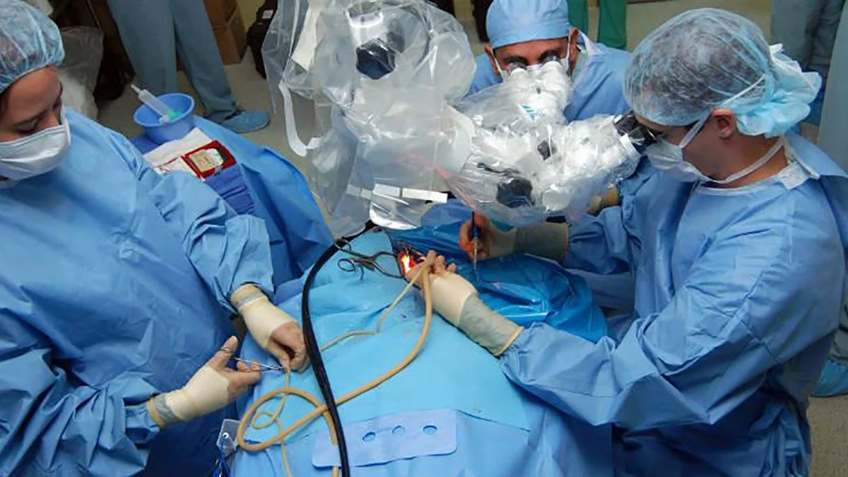 1.860 bonaerenses recibieron un trasplante en el 2023