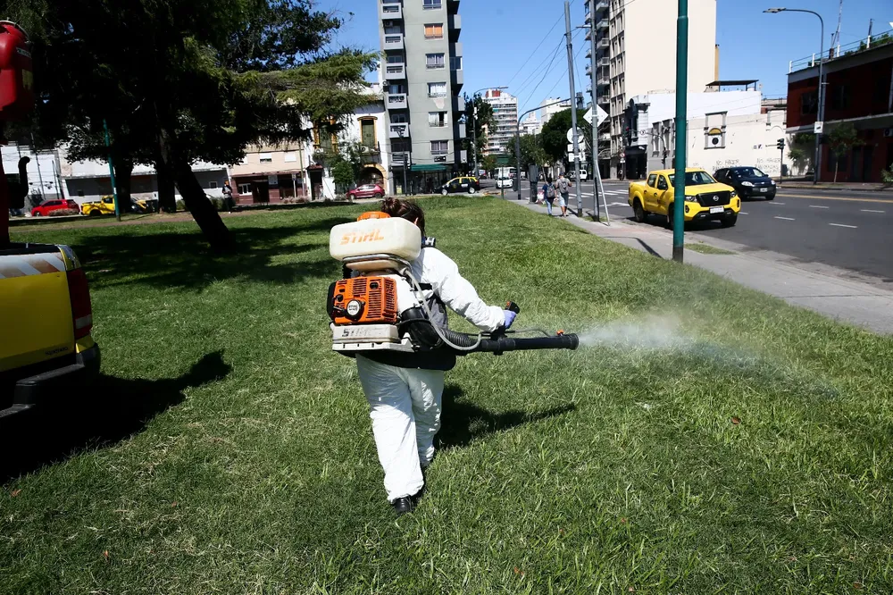 desinsectación mosquitos CABA 1