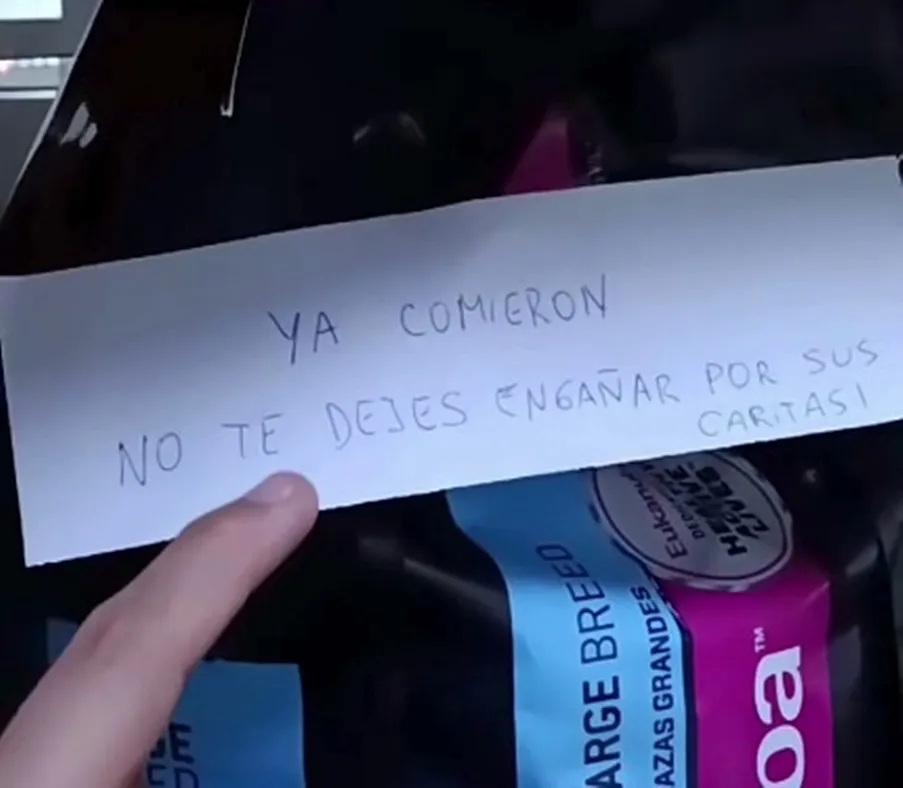 Perrita “manipuladora” enternece con su cara de hambre falsa