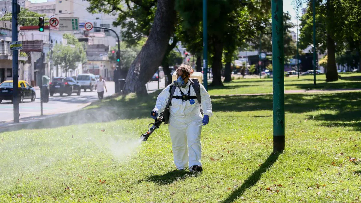 Fumigación por mosquitos