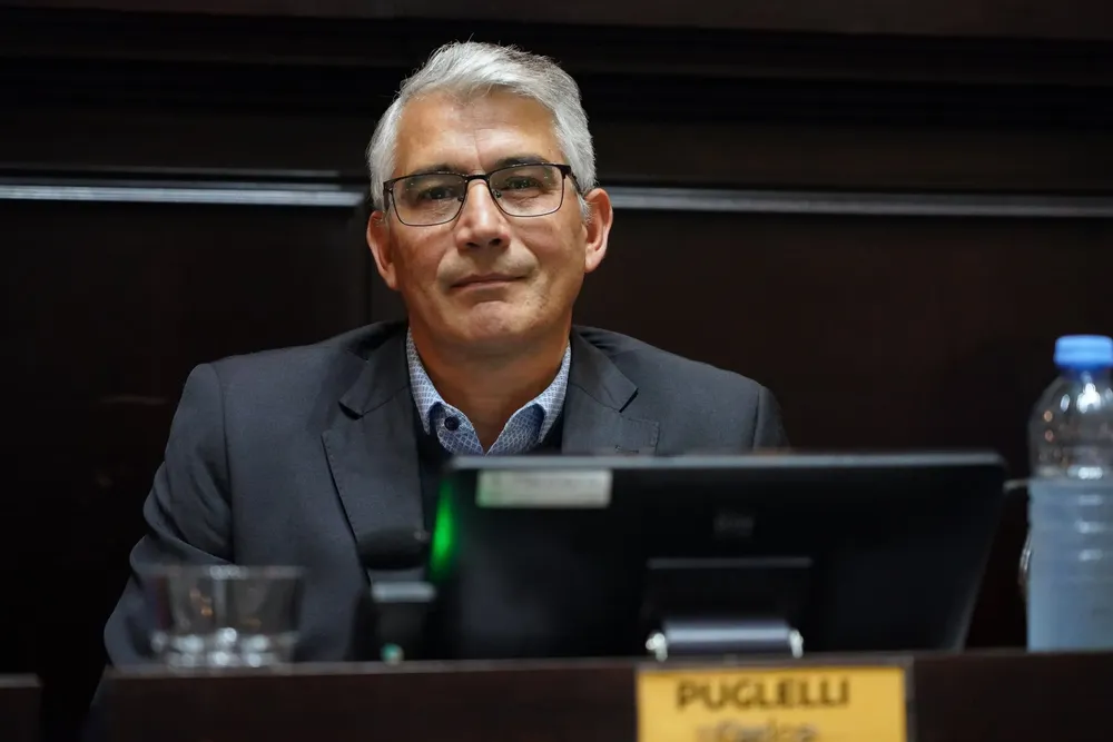 Carlos Puglelli, diputado del Frente Renovador