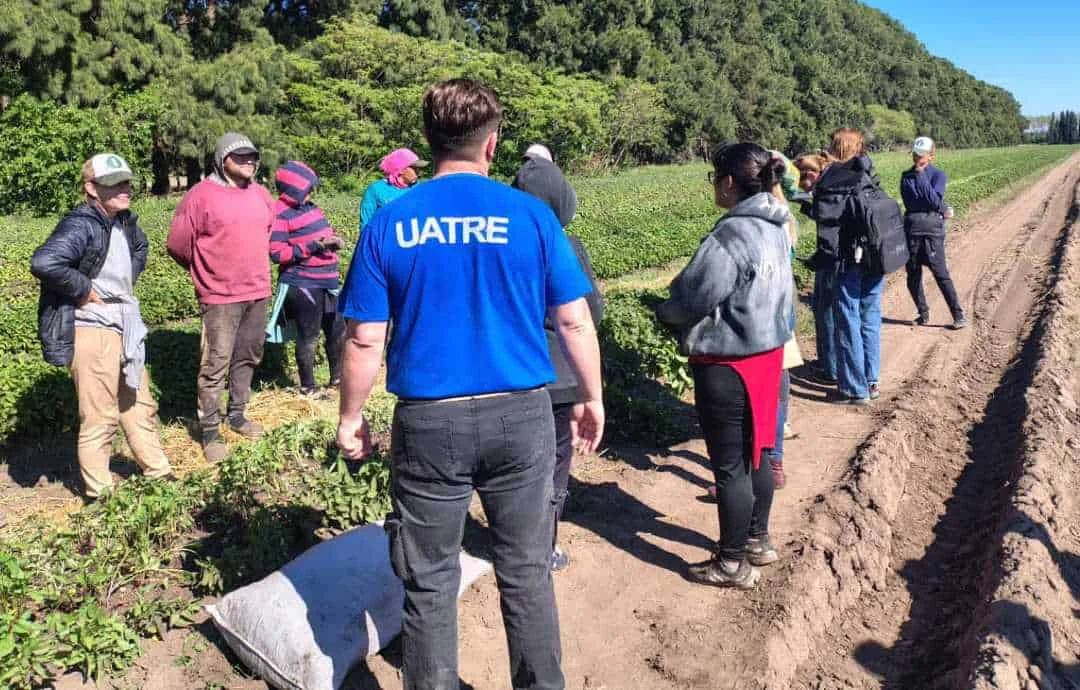 UATRE trabajadores de campo