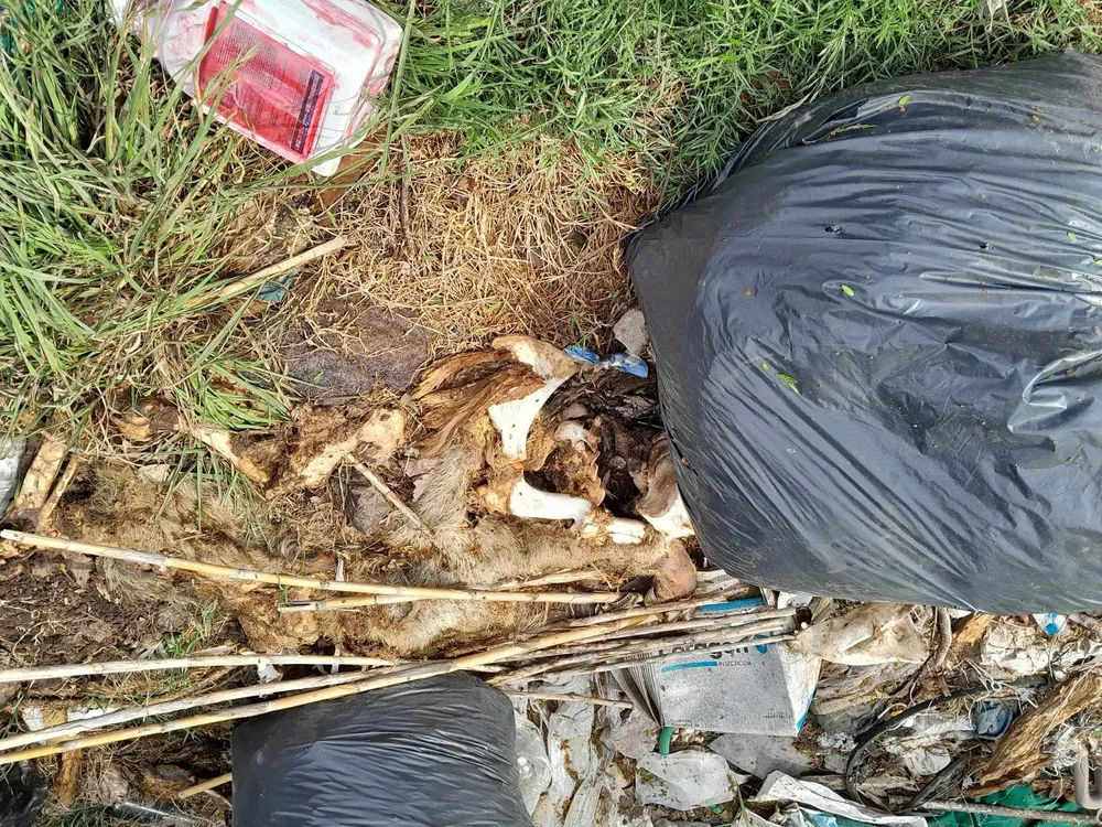 Basural a cielo abierto en Colón
