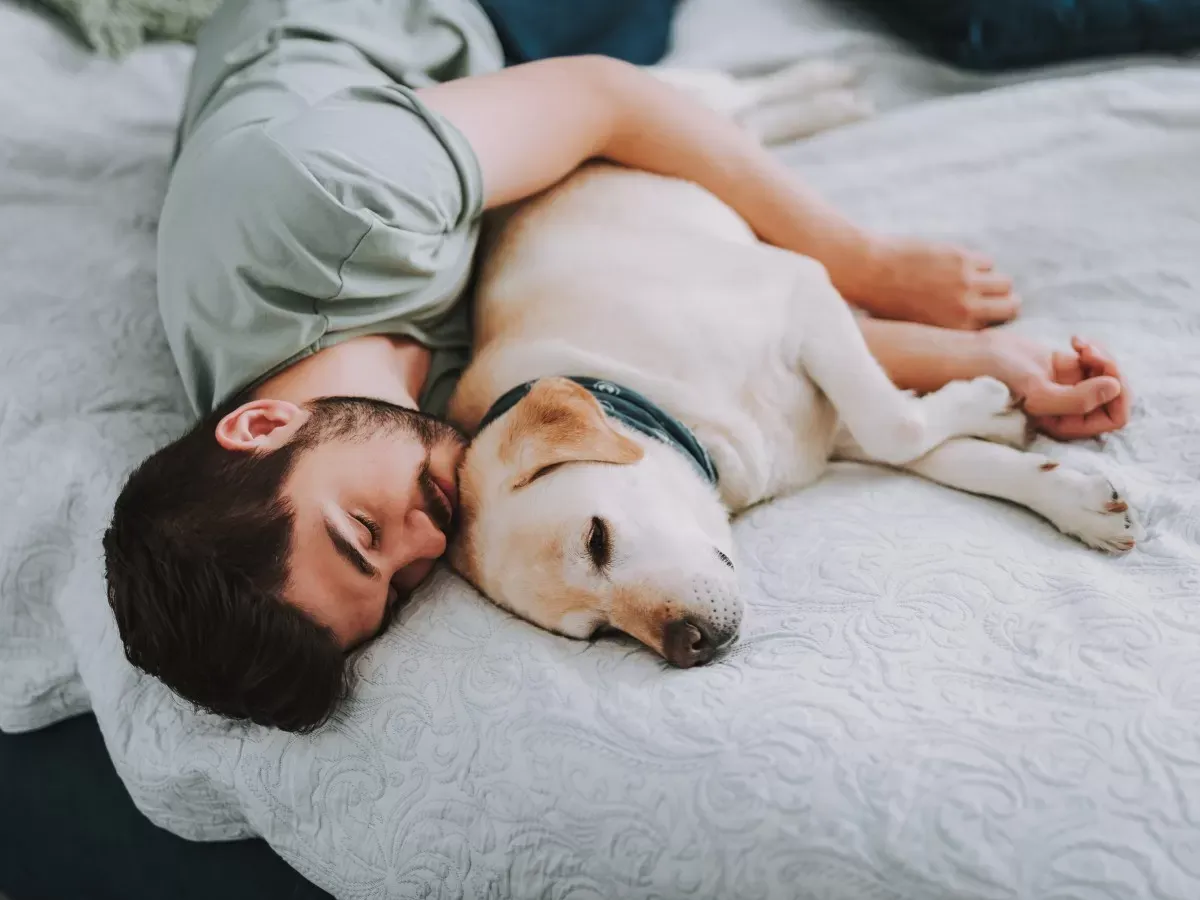 ¿Pasarías todo el día en la cama? Chequeá si padecés clinomanía