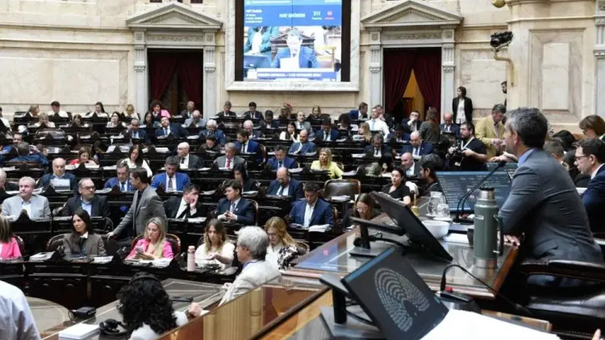 Cruce por el Presupuesto la oposición desafía al Gobierno y exige cumplir las leyes vetadas por Milei