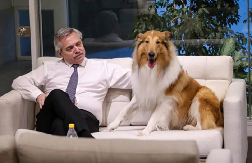 ALBERTO FERNÁNDEZ CELEBRÓ EL CUMPLEAÑOS DE SU PERRO DYLAN EN REDES SOCIALES