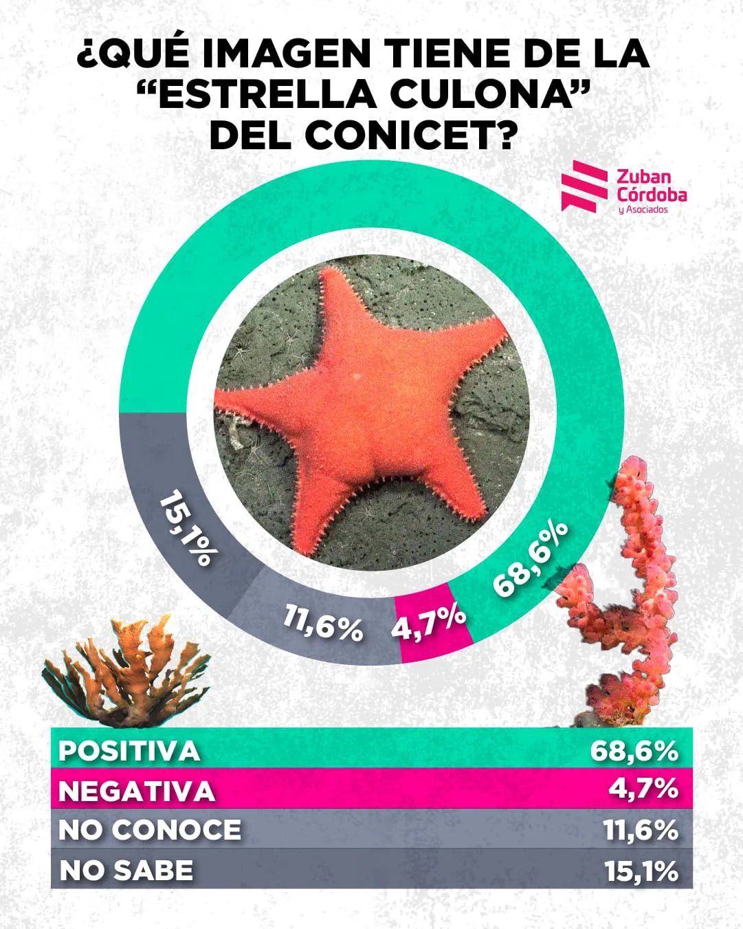 Informe de la consultora Zuban-Córdoba Informe de la consultora Zuban-Córdoba