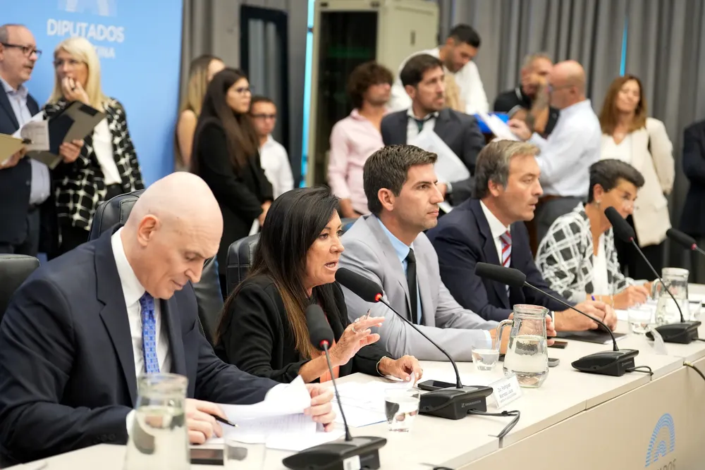 El Congreso vuelve a discutir el Régimen Penal Juvenil y avanza con cambios en la edad mínima