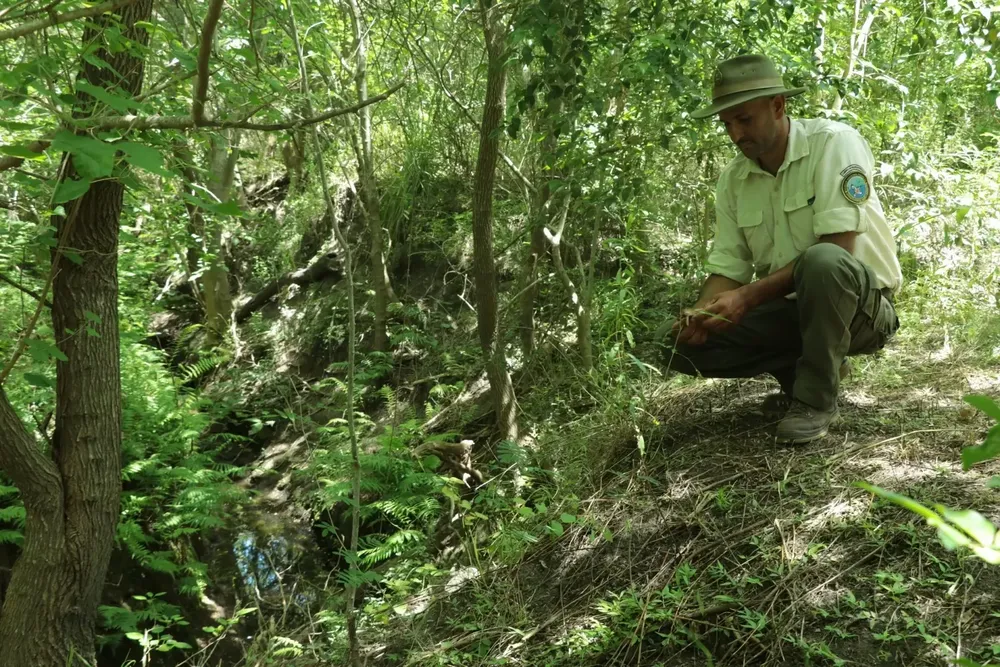 Dónde estudiar guardaparque: todo lo que tenés que saber