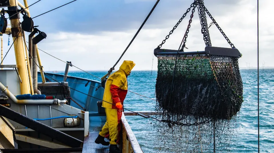 industria pesquera 2