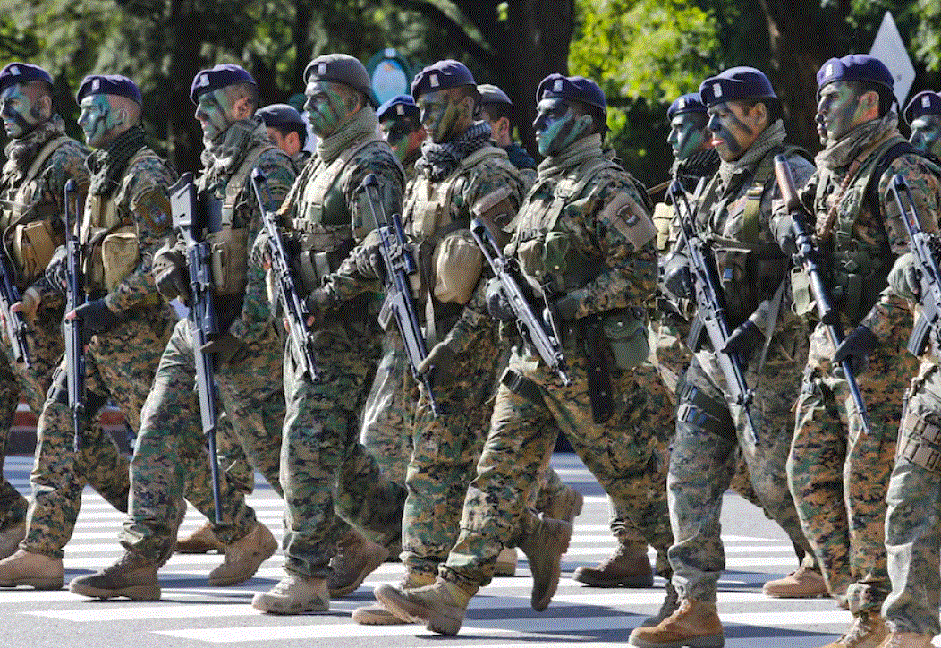 Fuerzas armadas argentinas.