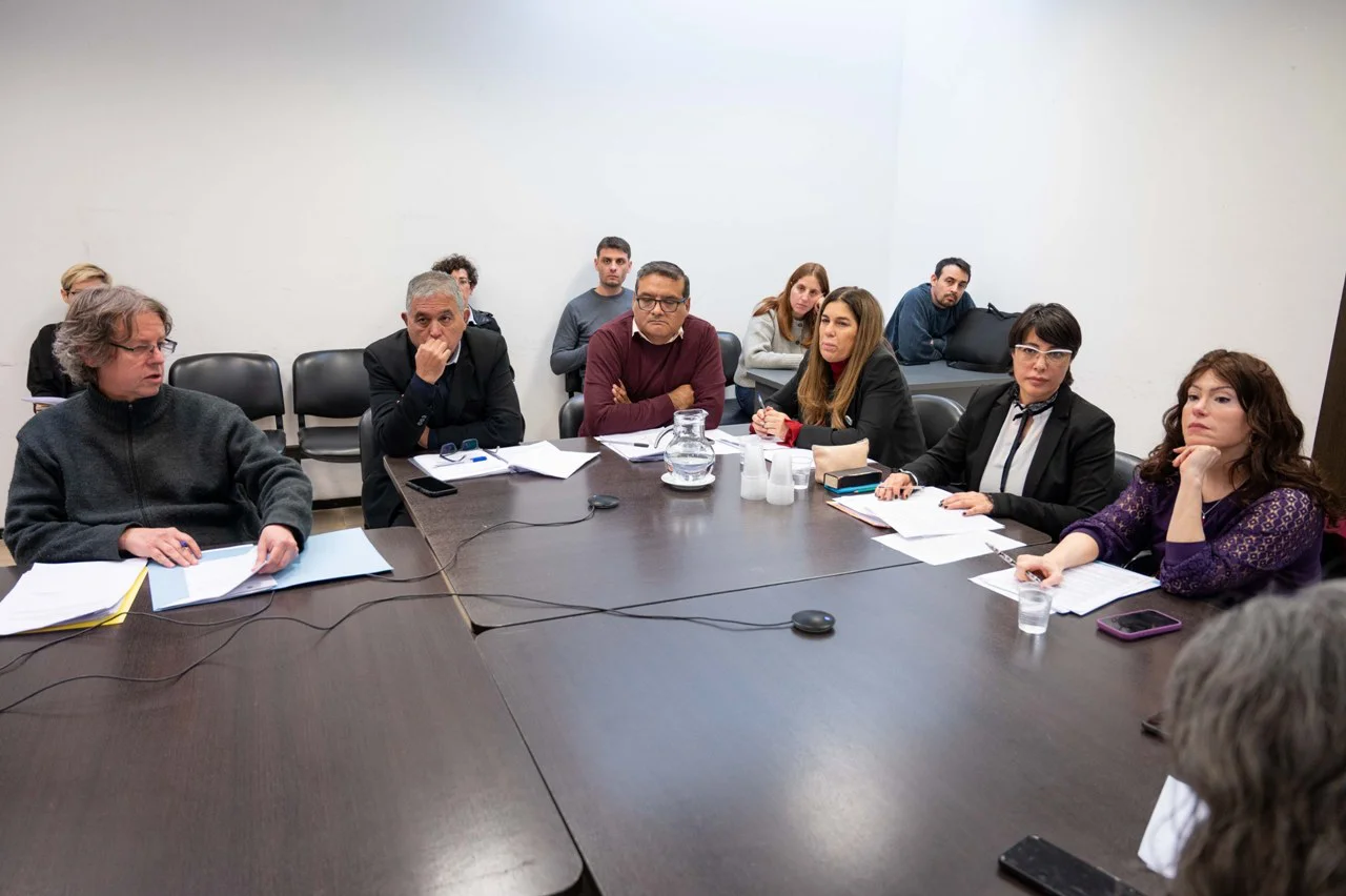 Reunión de la Comisión de Trabajo, conducida por Soledad Alonso.