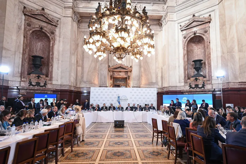 Debate de la Ley Bases en el Senado.