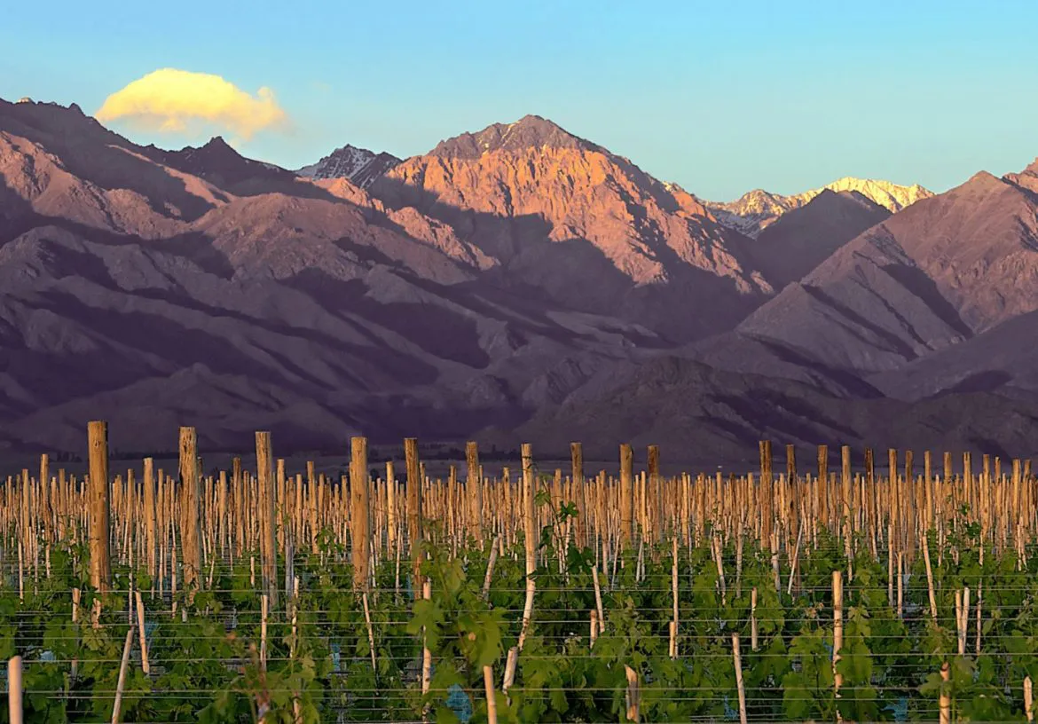 Un pueblito de montaña donde descansó San Martín y se produce buen vino peleará por ser el mejor del mundo