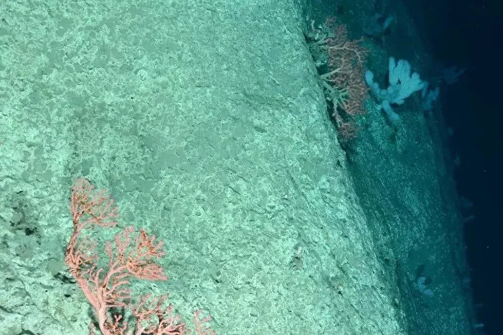 Conocé la hazaña mundial de un submarino ruso