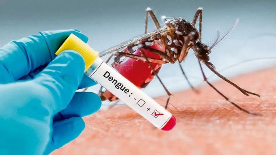 PROVINCIA LANZA LA NUEVA CAMPAÑA CONTRA EL DENGUE