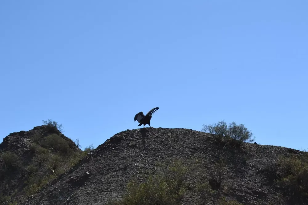 Ovnis sobrevuelan San Juan: Mirá el video y las fotos desde diversos puntos de la provincia