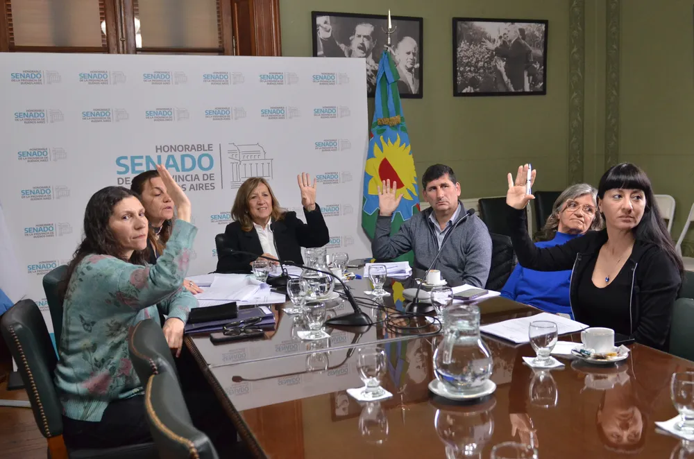 Comisión de Trabajo Senado BA