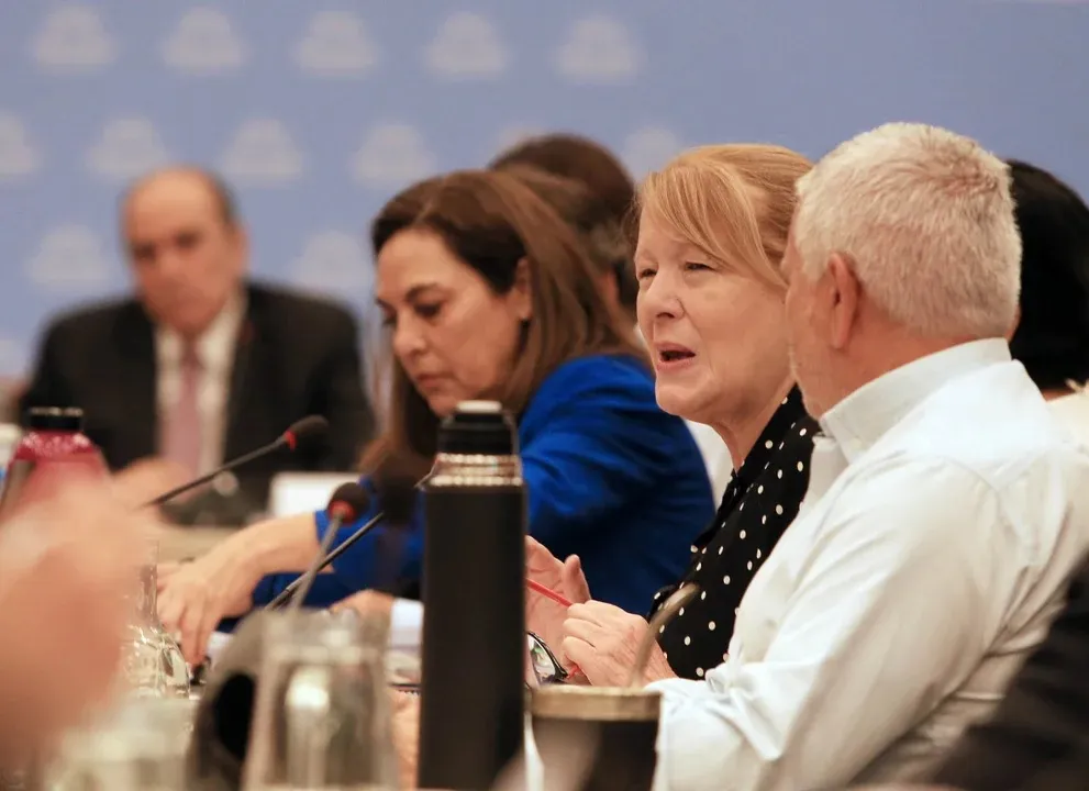 stolbizer margarita plenario comision diputados