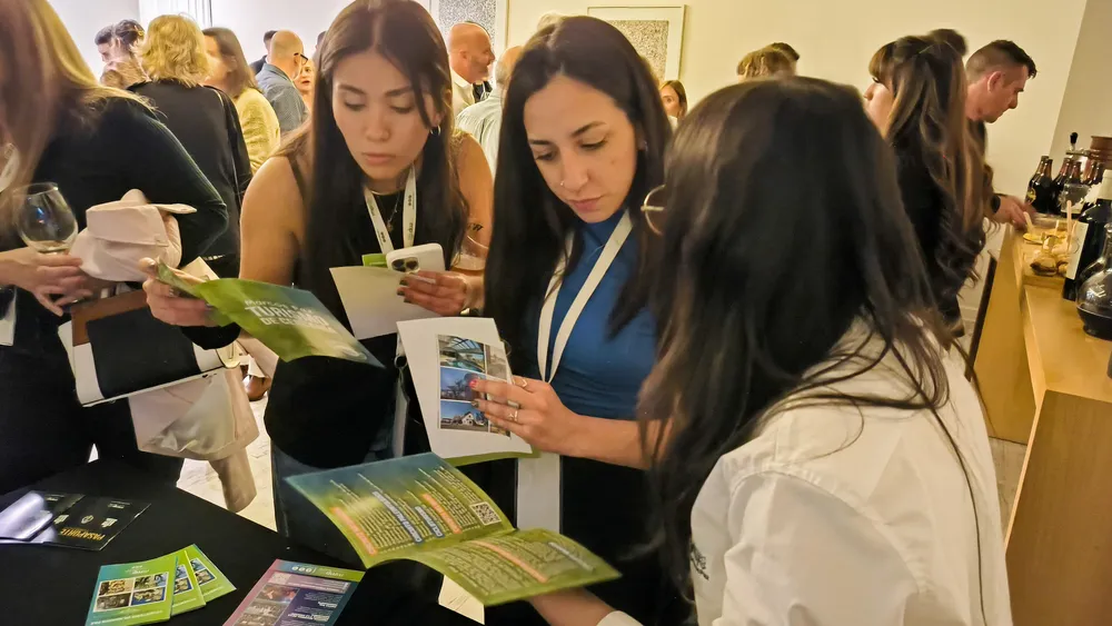 WhatsApp Image 2024-09-20 at 13.42.19 (1)