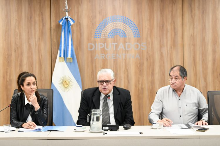 Comisión de Defensa Nacional.