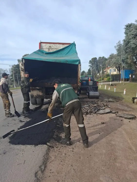 bacheo en canning