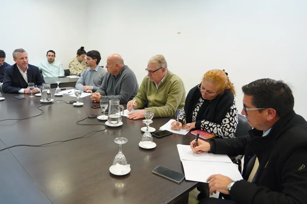 Reunión de la comisión de Energía y Combustibles, bajo la presidencia del diputado Andrés De Leo.