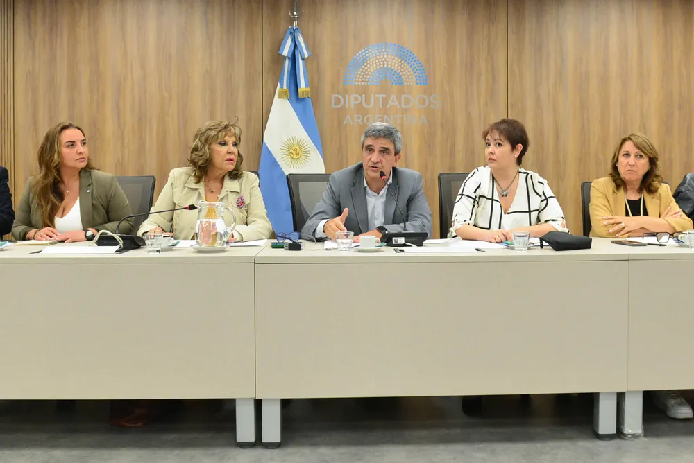 Caso ANDIS citan a Lugones y al interventor Vilches, pero no se espera que concurran