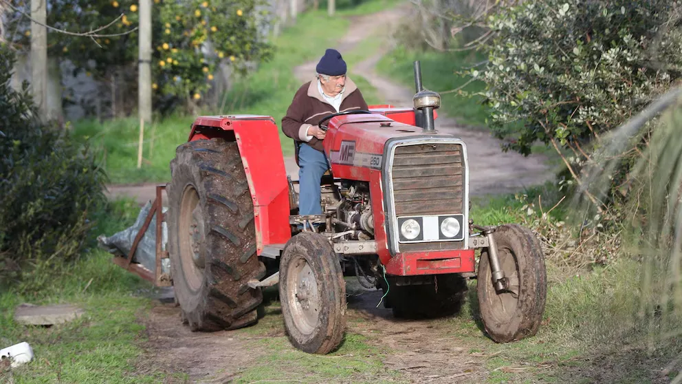 Pepe Mujica 3