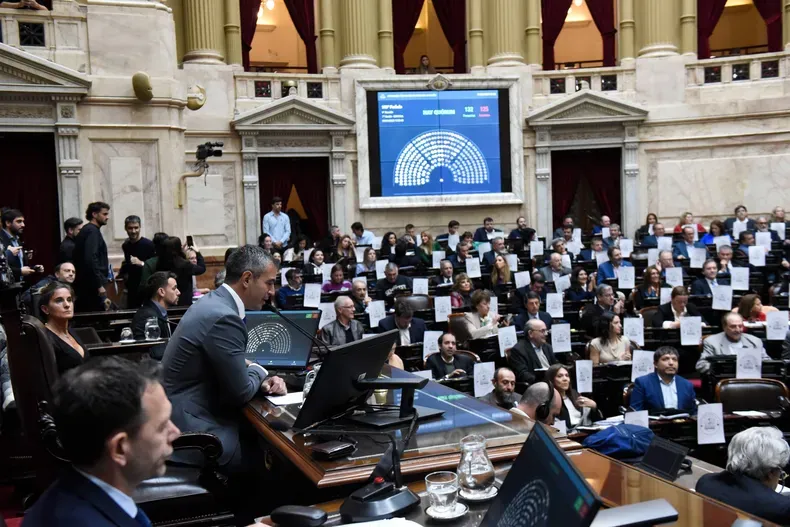 Menem Diputados