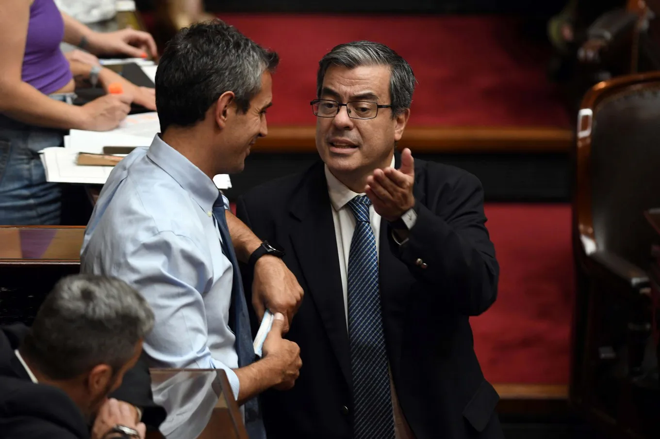Germán Martínez exige el avance de bicamerales clave en el Congreso.