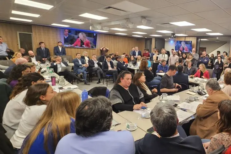 Comisión de Peticiones, Poderes y Reglamento 