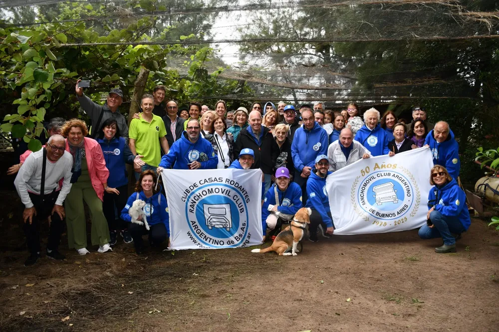 temporada kiwis saladillo