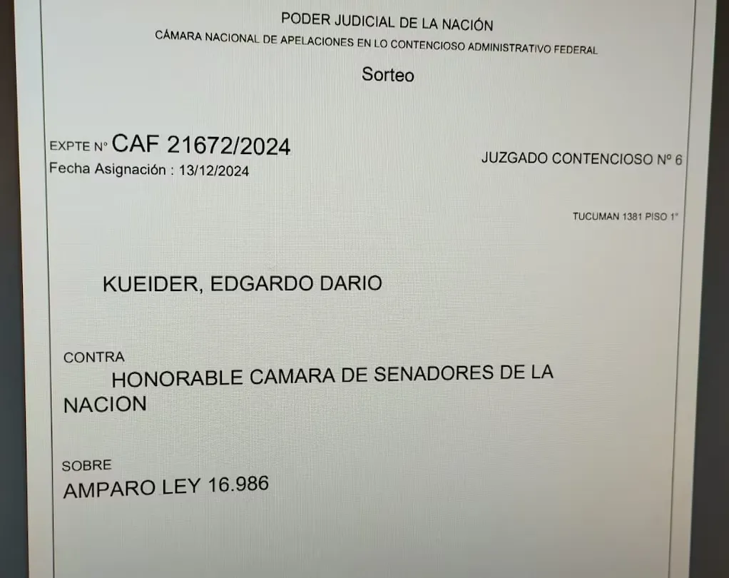 Kueider pide anular su expulsión del Senado