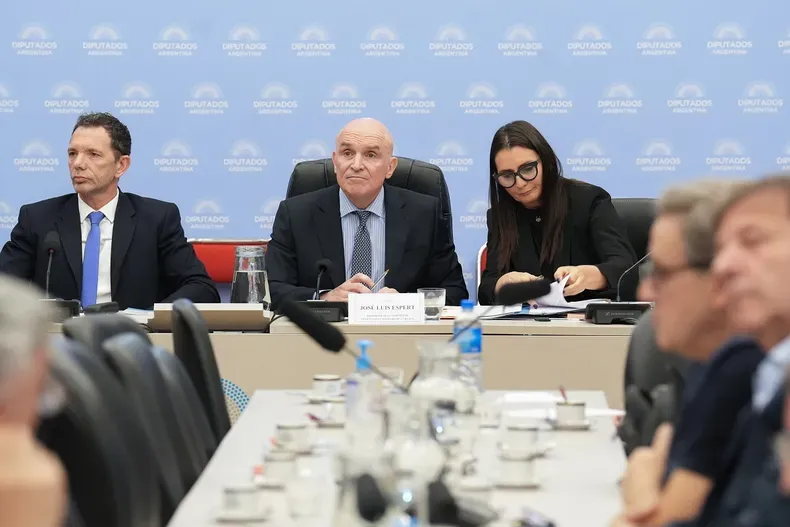 Espert Comisión de Presupuesto