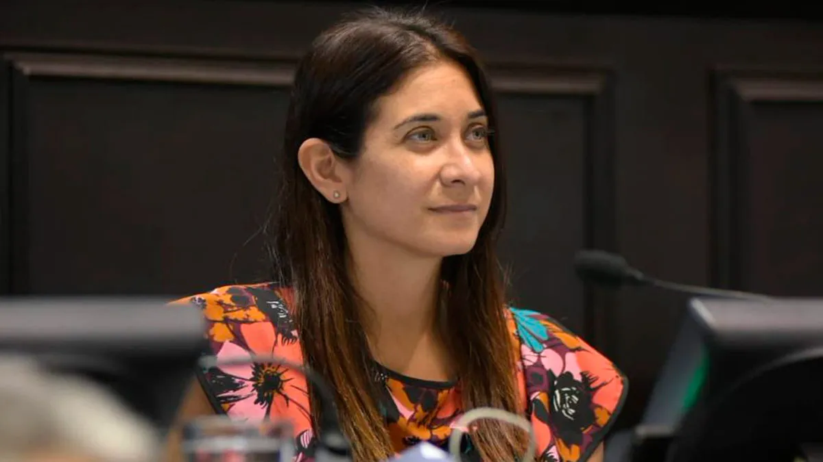 ENTREVISTA: la diputada Besana pide "dejar de lado los colores políticos"
