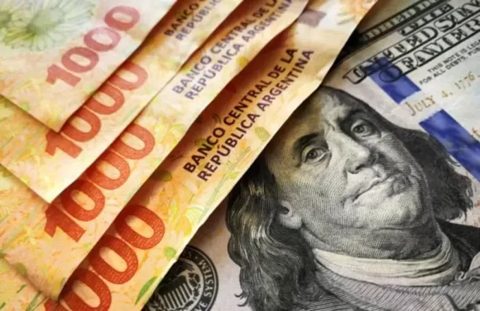 Pesos argentinos y dólares