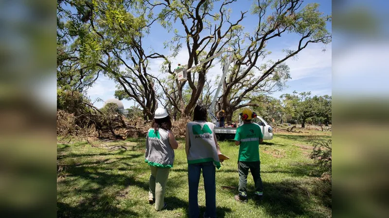 clip_20231229_17.45.40