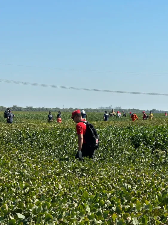 Búsqueda en Córdoba