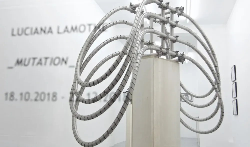 Una obra de Luciana Lamothe